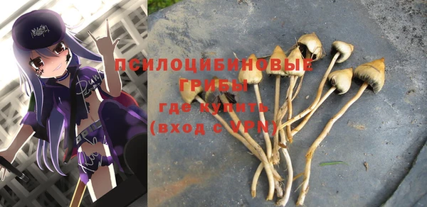2c-b Белоозёрский